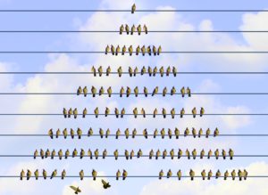 Wie flach dürfen Hierarchien sein? Führung im Rahmen von Spielräumen – so könnte die Organisationsstruktur der Zukunft aussehen.